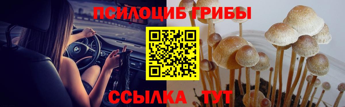 цены   Псилоцибиновые грибы мухоморы  Галлюциногенные грибы MAGIC MUSHROOMS  Вход с VPN  Мценск 